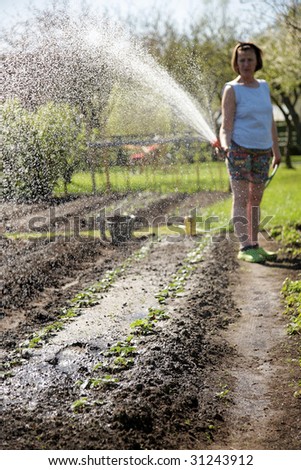 woman moistening soil for plants in her garden in summertime
