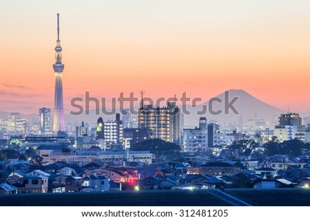 Tokyo city view  and mountain fuji