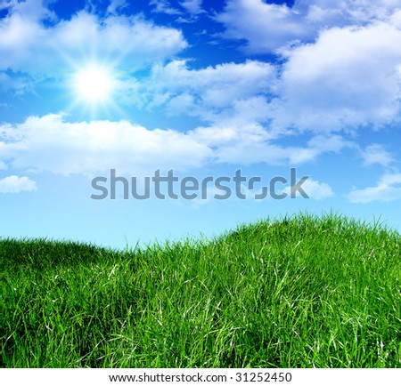 green grass on a landsape