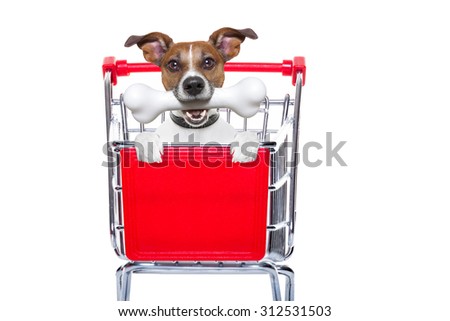jack russell dog inside a shopping cart trolley  behind blank empty banner or placard isolated on white background ready for sale