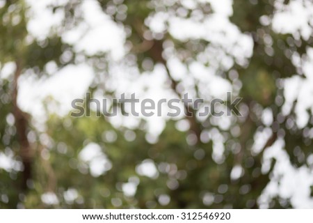 Green bokeh background. Element of design. Abstract eco green blurred background.