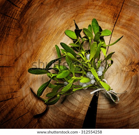 mistletoe branch on a wooden background