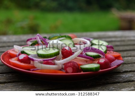 Plate full of chopped vegetables - perfect side for any dish!