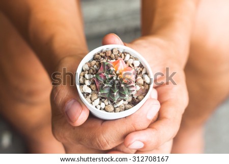 Cactus in pot plant on human hands