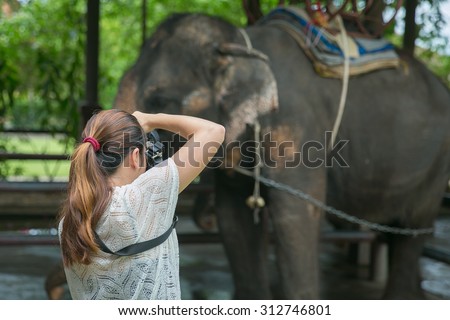 women photographer  take a picture elephant. Elephant in zoo.