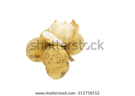 Wollongong or Lagsad fruit peel yellow thin meat in white to clear, sweet and sour , some species are sweet , mellow in some ground in the south of Thailand popular