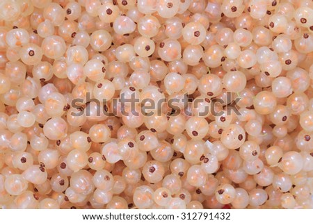 white currant as very nice fruit background