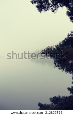 Amazing view by the lake on a cold and foggy morning. A tree branch is in the right side where the focus point is. Behind the branch is an island reflecting from the water. Try to turn image clockwise