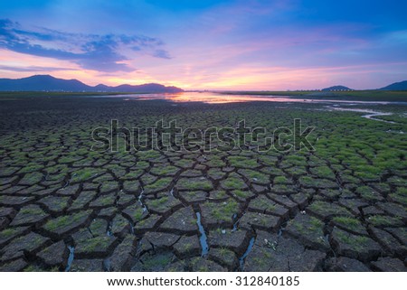 Green glass  on cracked mud with beautiful sky after sunset