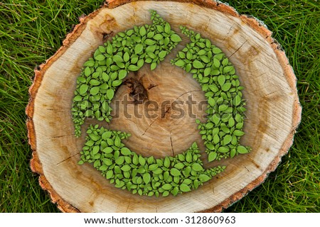 tree stump on the green grass with recycle symbol, top view