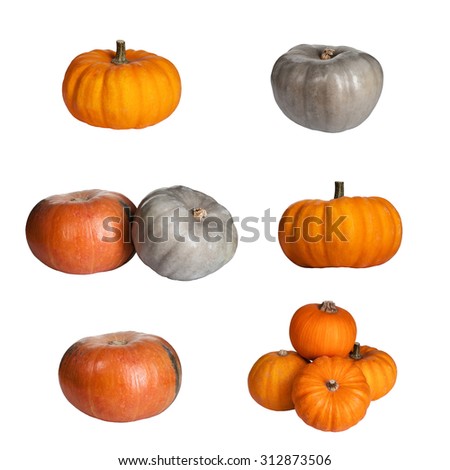 set of simple images  pumpkins isolated on white background