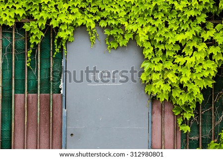 Hotel entrance door with sign in a fence with green foliage
