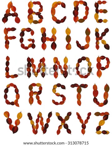 Multi-colored Autumn leaves letters alphabet isolated on white background. 