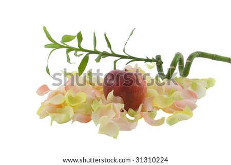 Bamboo and big red fresh apple with aromatic rose leave isolated over white