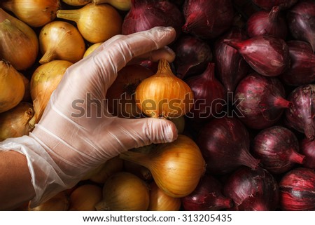 Quality control: hand in glove check onion