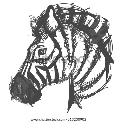 Sketch, doodle, hand drawn illustration of zebra