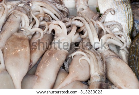 squid raw fish market