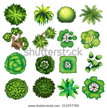 Top view of different kind of plants illustration