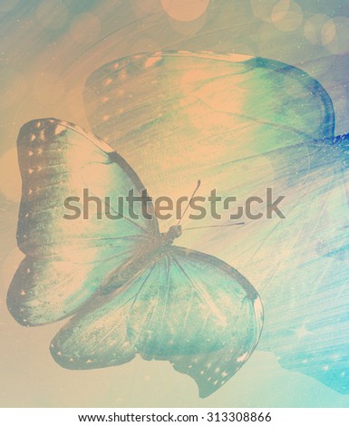 Vintage background  with butterflies