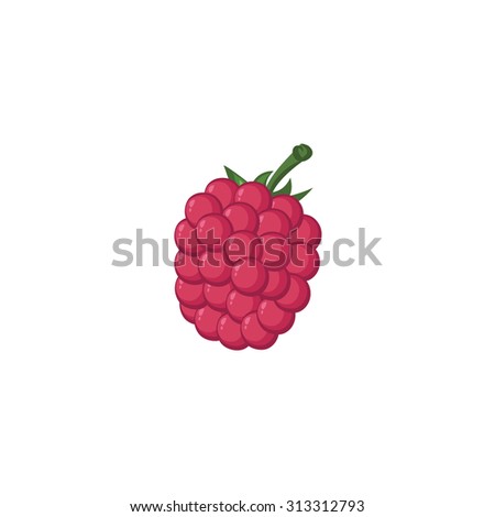 Vector Fruits - Raspberry