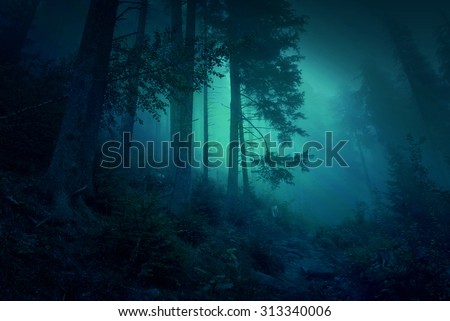 Surreal night forest scene: illustration Royalty-Free Stock Photo #313340006