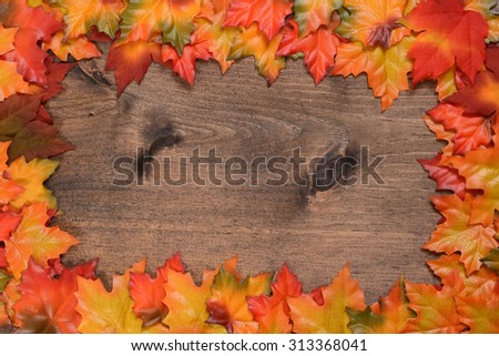 colorful maple leaves frame