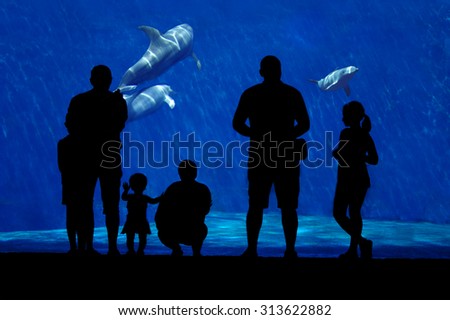 Silhouette of a family watching dolphin.
Foreground subject completely in the shade, a family of dolphins in the background.
