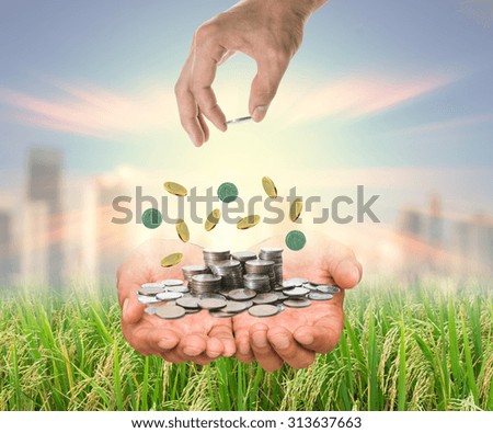 Hand putting a coin in the stack of coins over the hands on rice filed and cityscape blurred background, business investment and saving concept