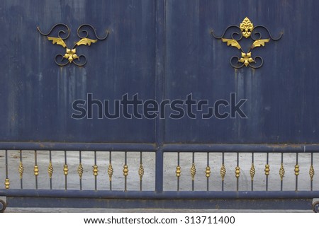 Blue Steel Door close