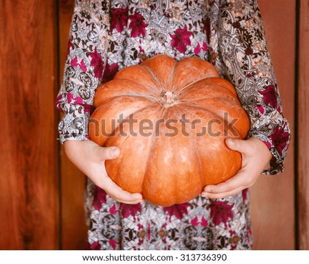 Little girl with pumpkin in her hands. Close up