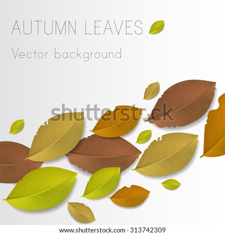 Autumn leaves abstract background
