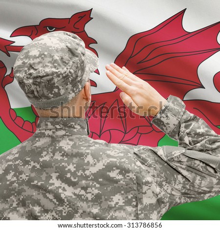 National military forces with flag on background conceptual series - Wales