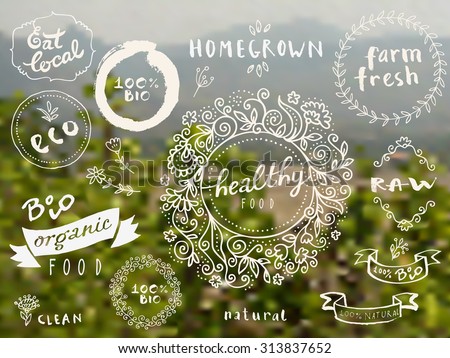 Set of 100% bio, organic, eco, clean healthy food labels. Hand drawn logo templates with floral vintage elements on blurred countryside background. Hipster style vector badges for food package Royalty-Free Stock Photo #313837652