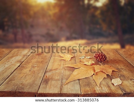 autumn background of fallen leaves over wooden table and forest backgrond with lens flare and sunset
