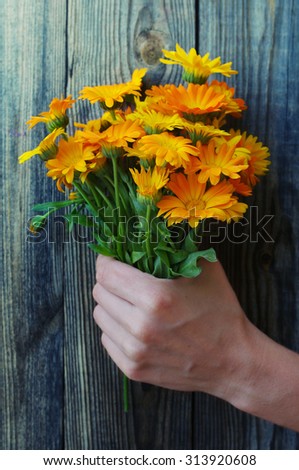 Yellow summer flowers in a hand against a wooden wall. A bouquet from a marigold in a hand. Calendula flowers. Festive bouquet