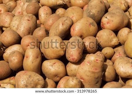 abstract background of different potato soiled ground