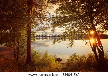 A beautiful view by the lake during sunset on a summer evening. Sun is shining throughout he branches with a reflection. Also a vintage effect is applied to the image.