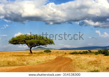 Beautiful landscape with tree in Africa Royalty-Free Stock Photo #314138300
