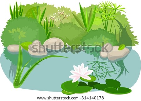 Pond landsape