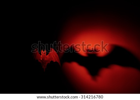 Halloween handmade bat with terrible shadow 
