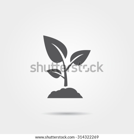 Sprout icon Royalty-Free Stock Photo #314322269