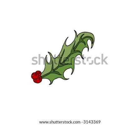 vector illustration of a sprig of holly