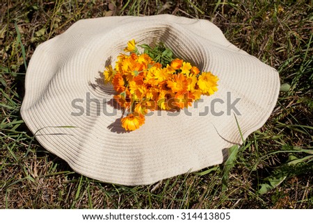 bouquet of calendula (Calendula officinalis L.) in straw hat on grass ground