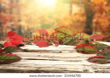 desk of wood and leaves 