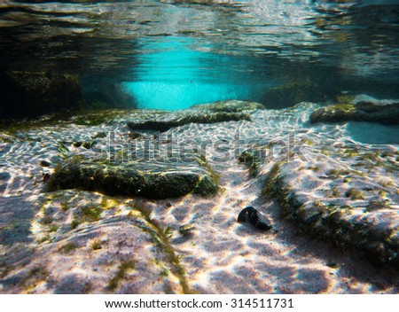 underwater view - grass and sun beams