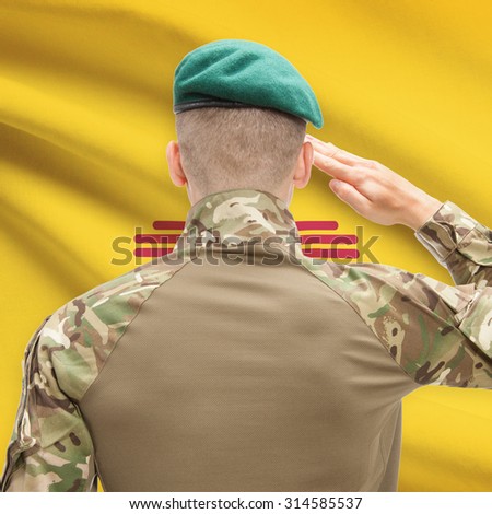 Soldier saluting to US state flag series - New Mexico