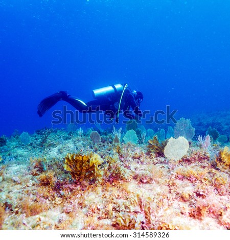 Young Man Scuba Diver between Water Surface and Sea Bottom