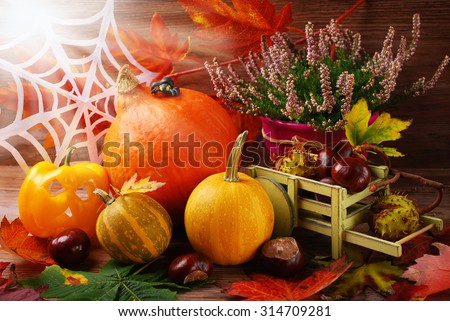 autumn harvest still life with halloween decoration, pumpkins,leaves,chestnuts and heather flowers 