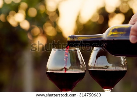 Pouring red wine into glasses in the vineyard, toned Royalty-Free Stock Photo #314750660