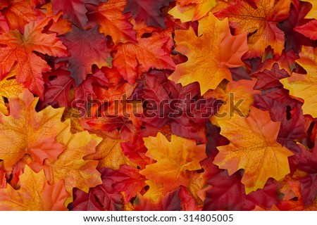 Red and Orange Autumn Leaves Background Royalty-Free Stock Photo #314805005